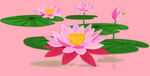 莲花