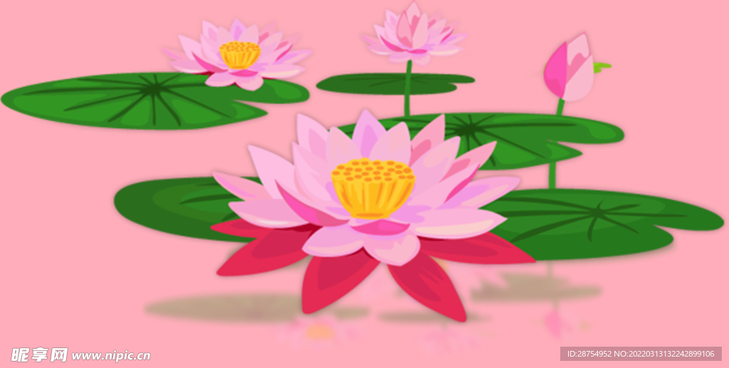 莲花