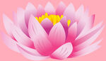 莲花