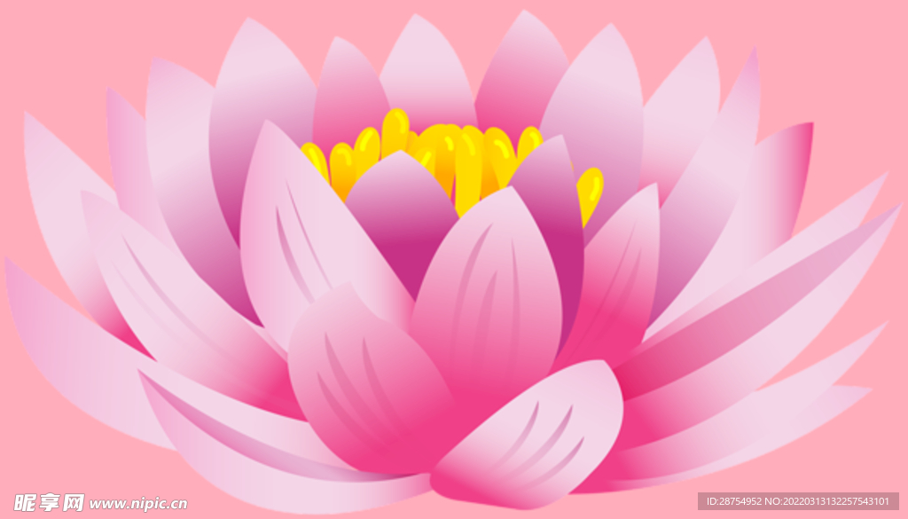 莲花