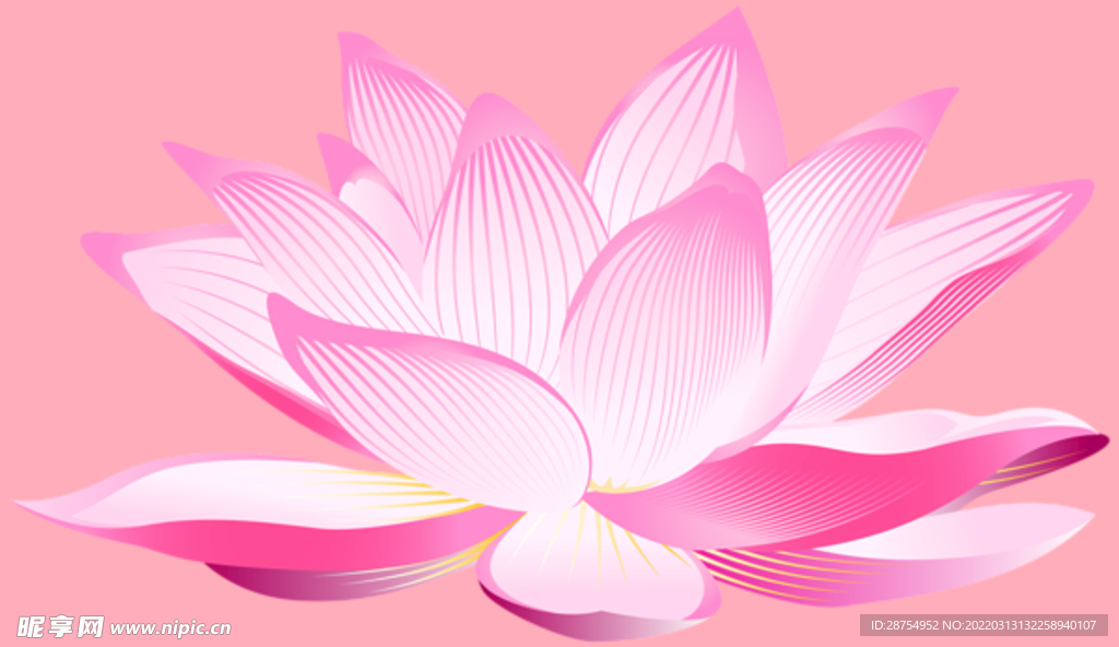 莲花