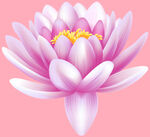 莲花