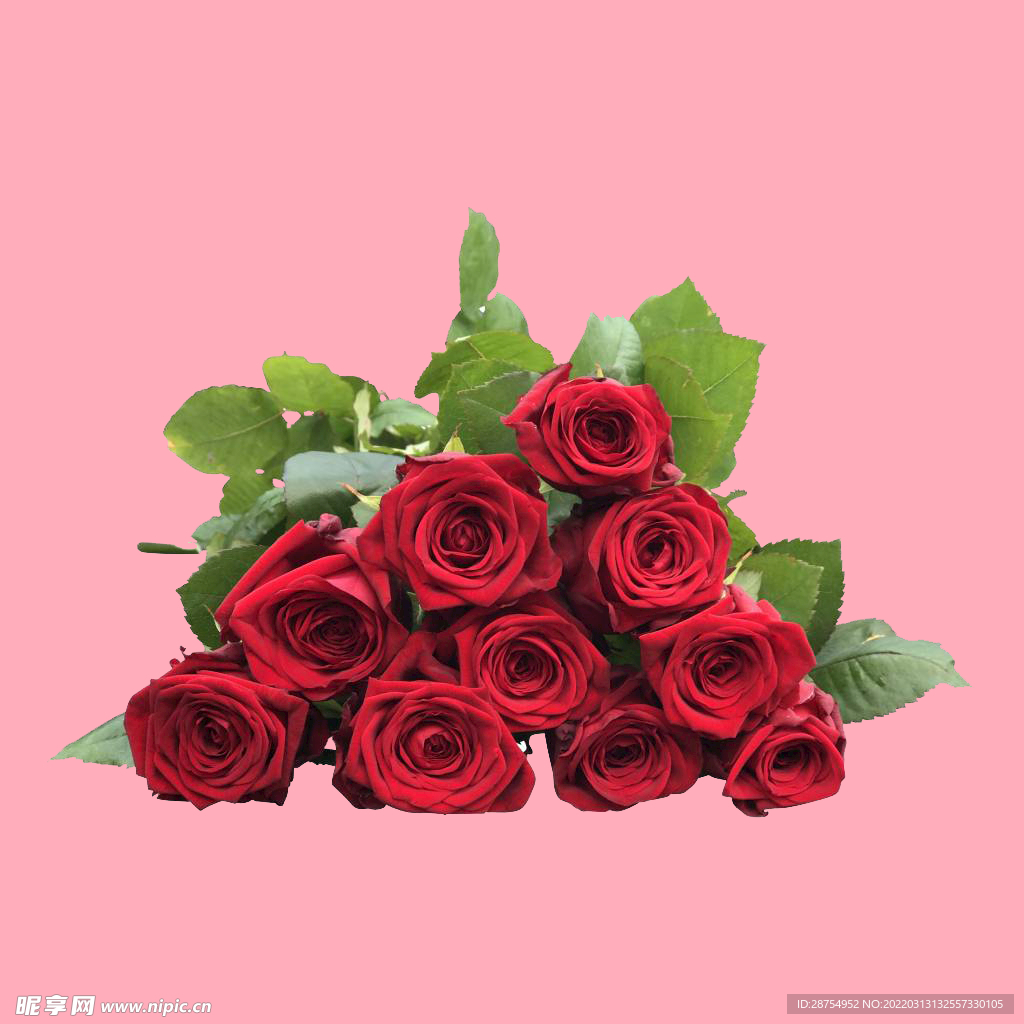 玫瑰花