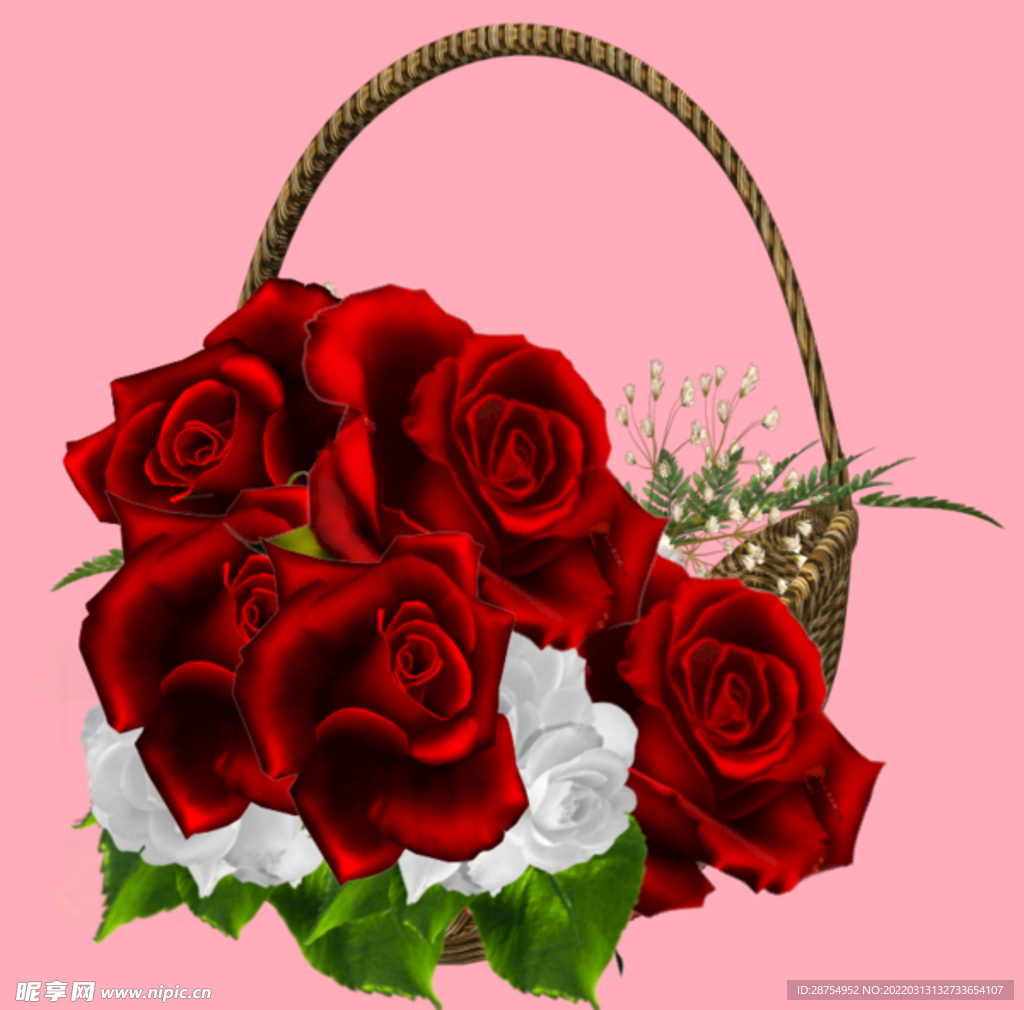 玫瑰花