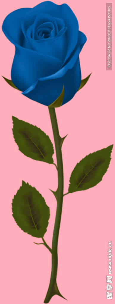 玫瑰花