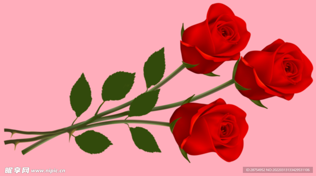 玫瑰花