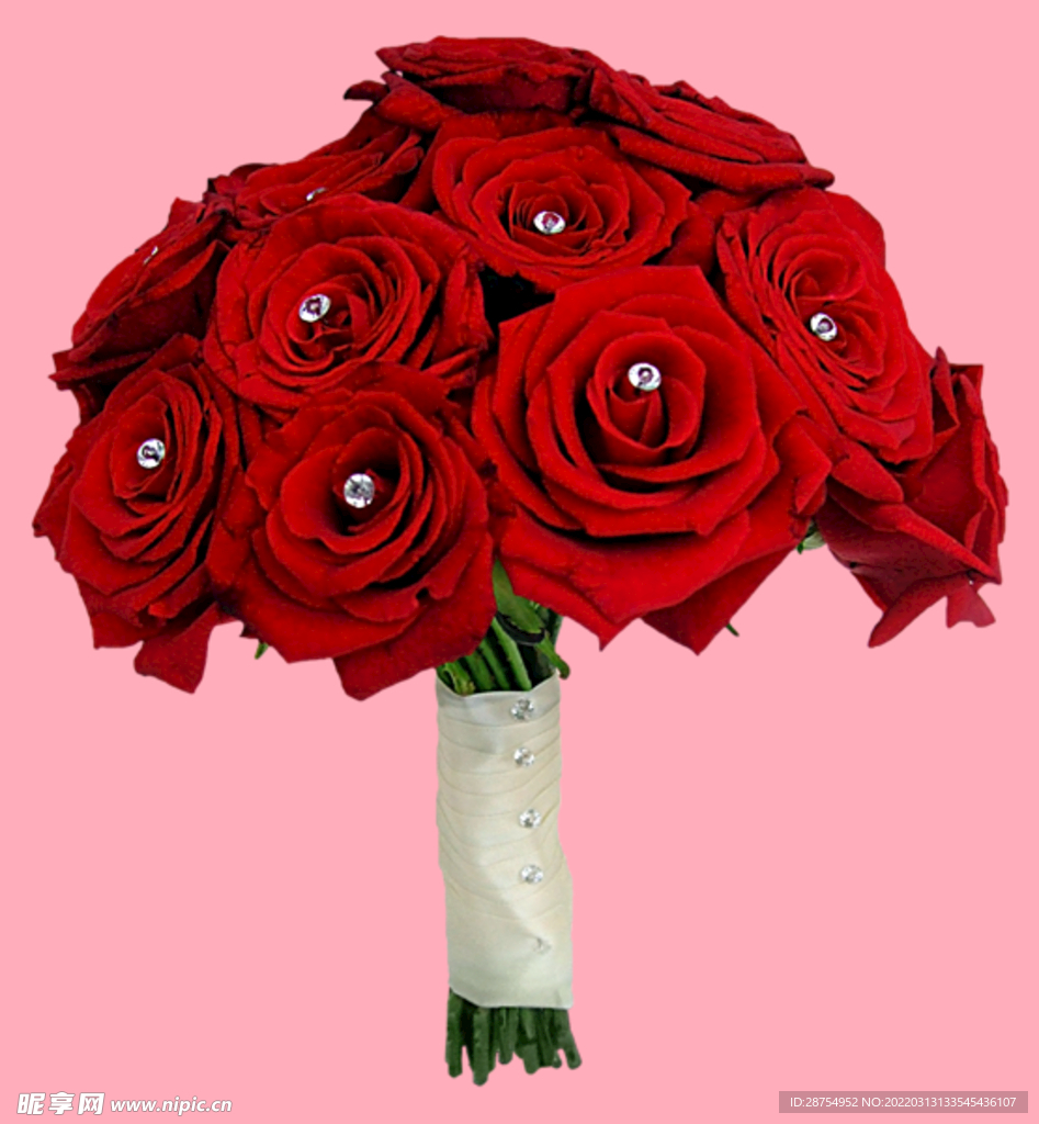 玫瑰花
