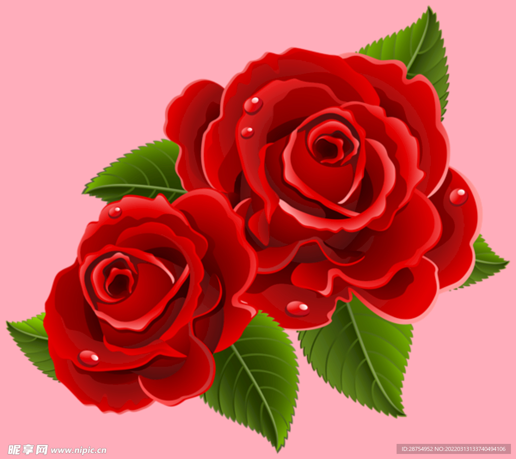 玫瑰花