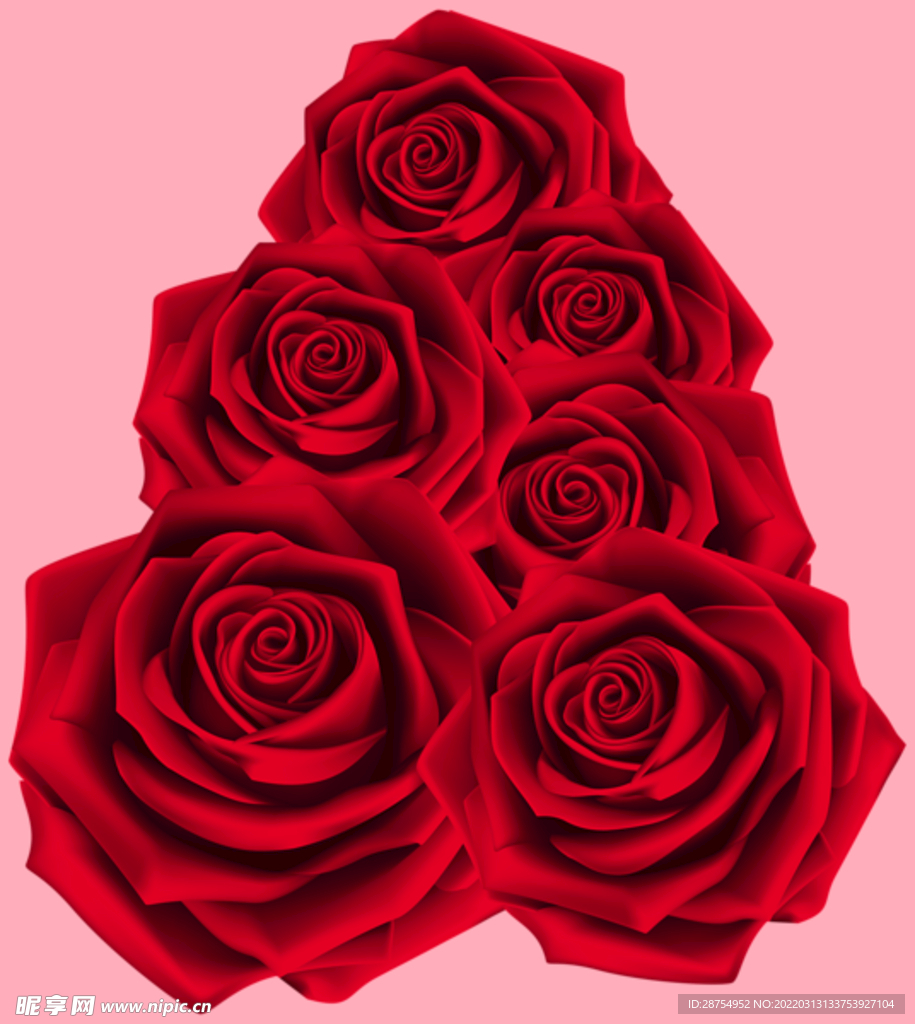 玫瑰花