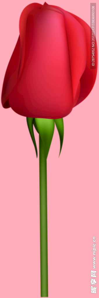 玫瑰花