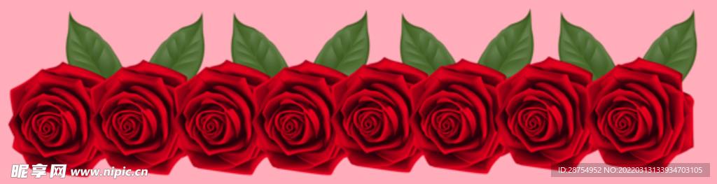 玫瑰花