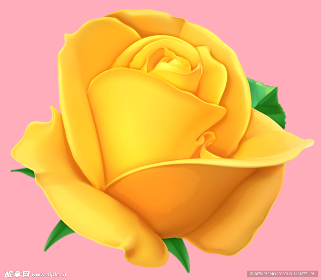 玫瑰花