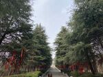 山路
