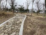 山路