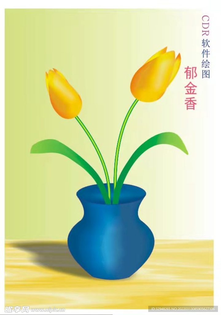郁金香