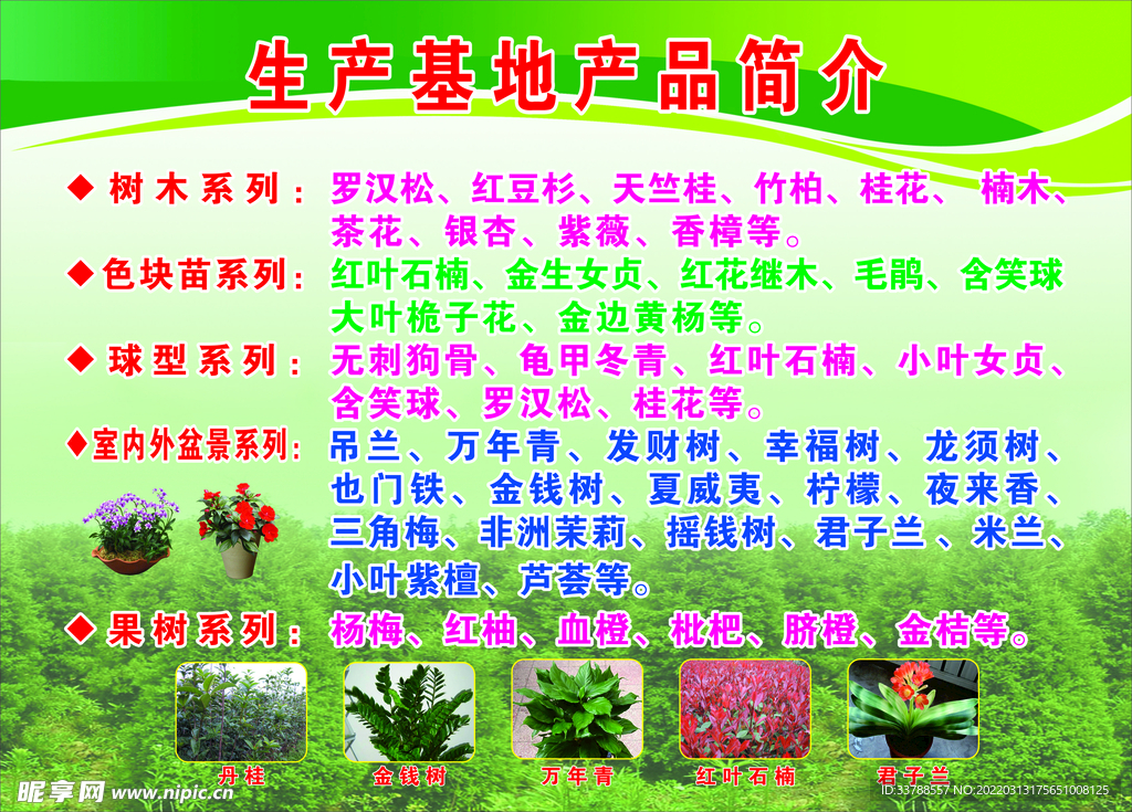 园艺生产种植基地产品简介