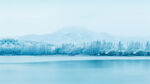 雪景