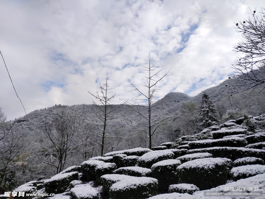 雪景