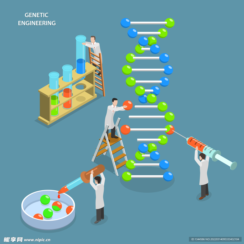 分子原子DNA