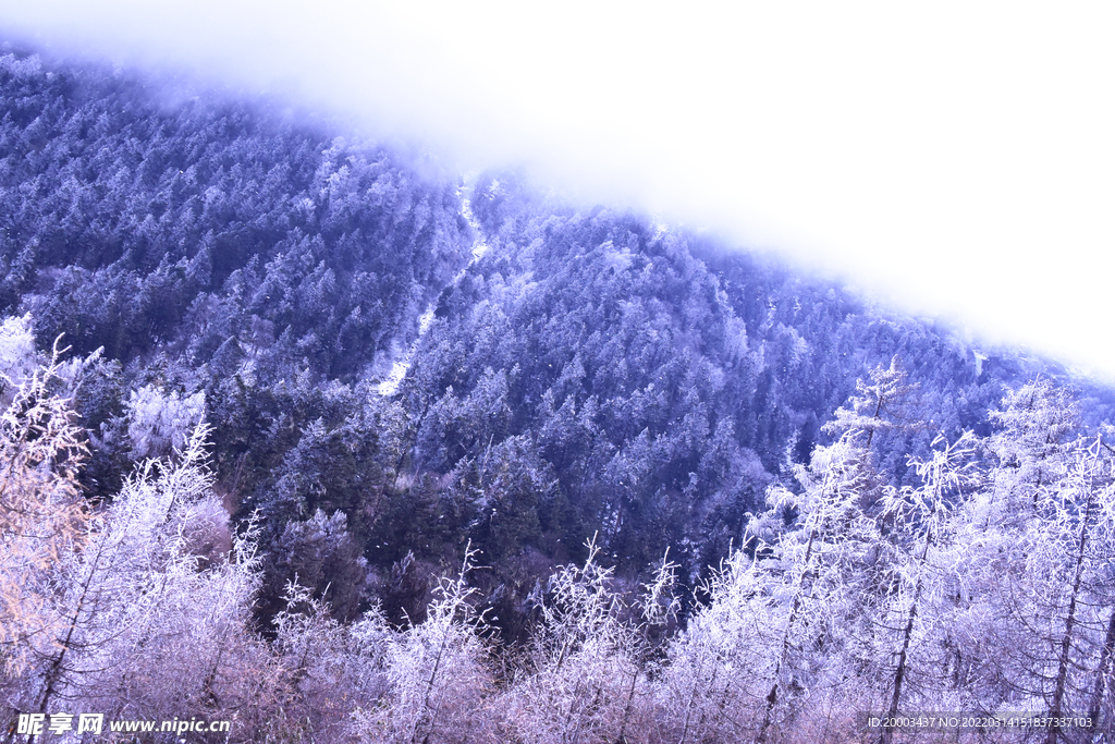 雪景