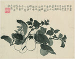 花鸟图 