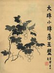 花鸟图 