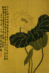 荷花图