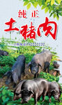 土猪广告 