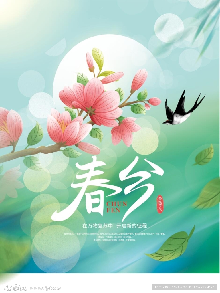 春分海报背景