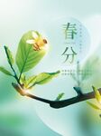 春分海报背景