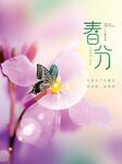 春分节气海报