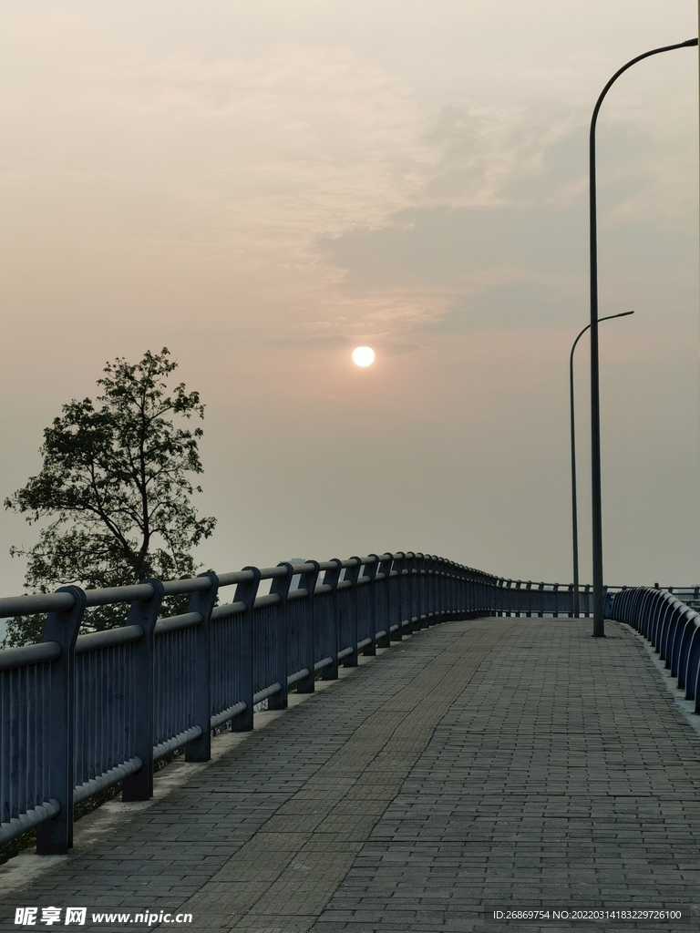 公路太阳户外景色
