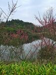 春季户外山水