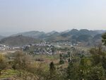 李子花基地