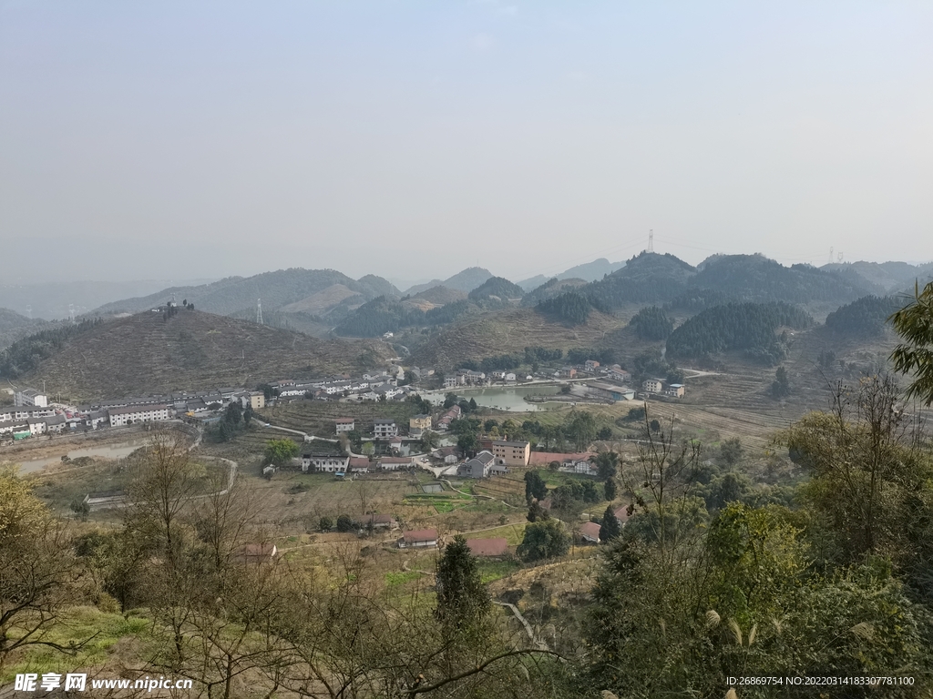 李子花基地