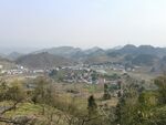 李子花基地