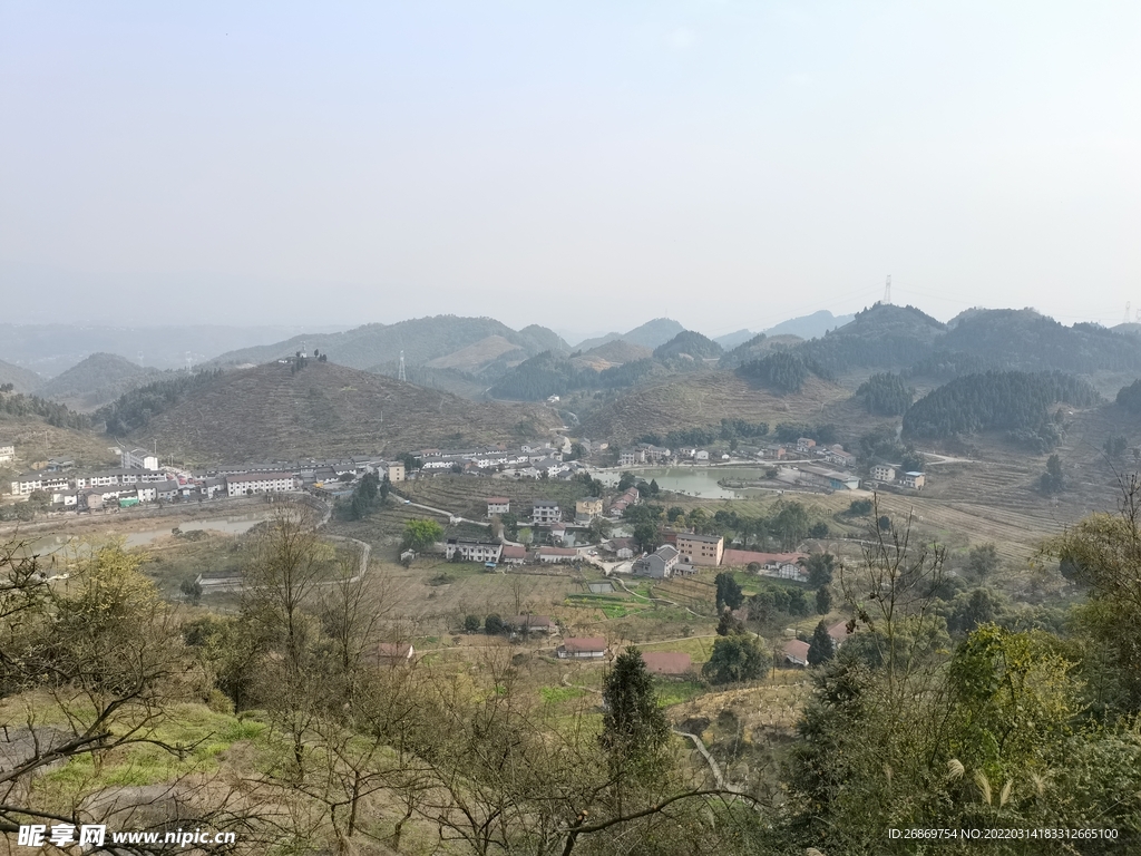 李子花基地