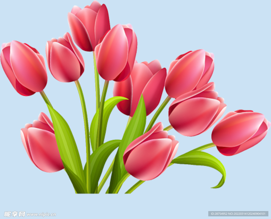鲜花
