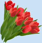鲜花
