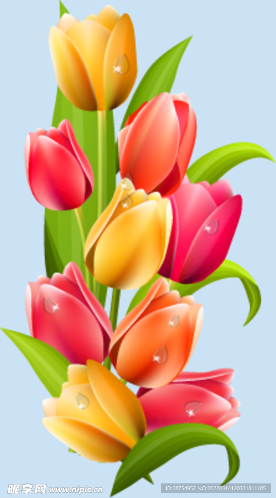 鲜花
