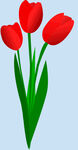 鲜花