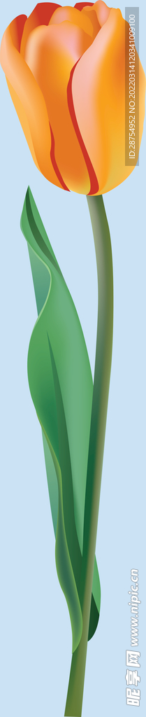 鲜花