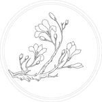 玉兰