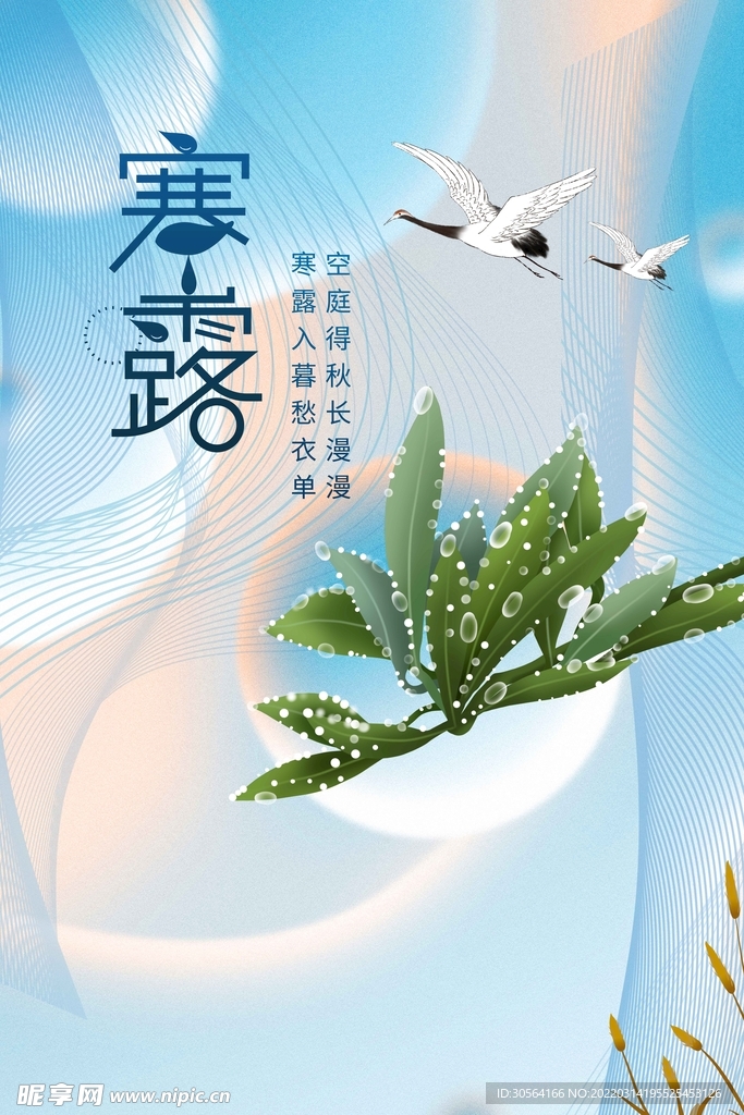 寒露