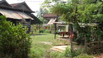 柬埔寨暹粒农村