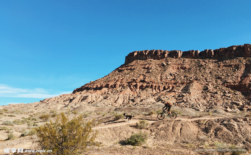 山