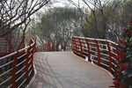 公园小路桥