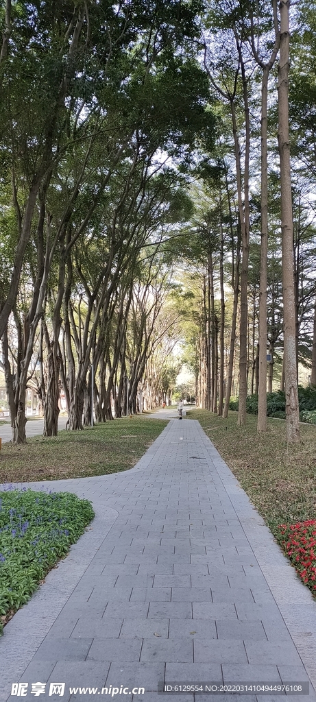路