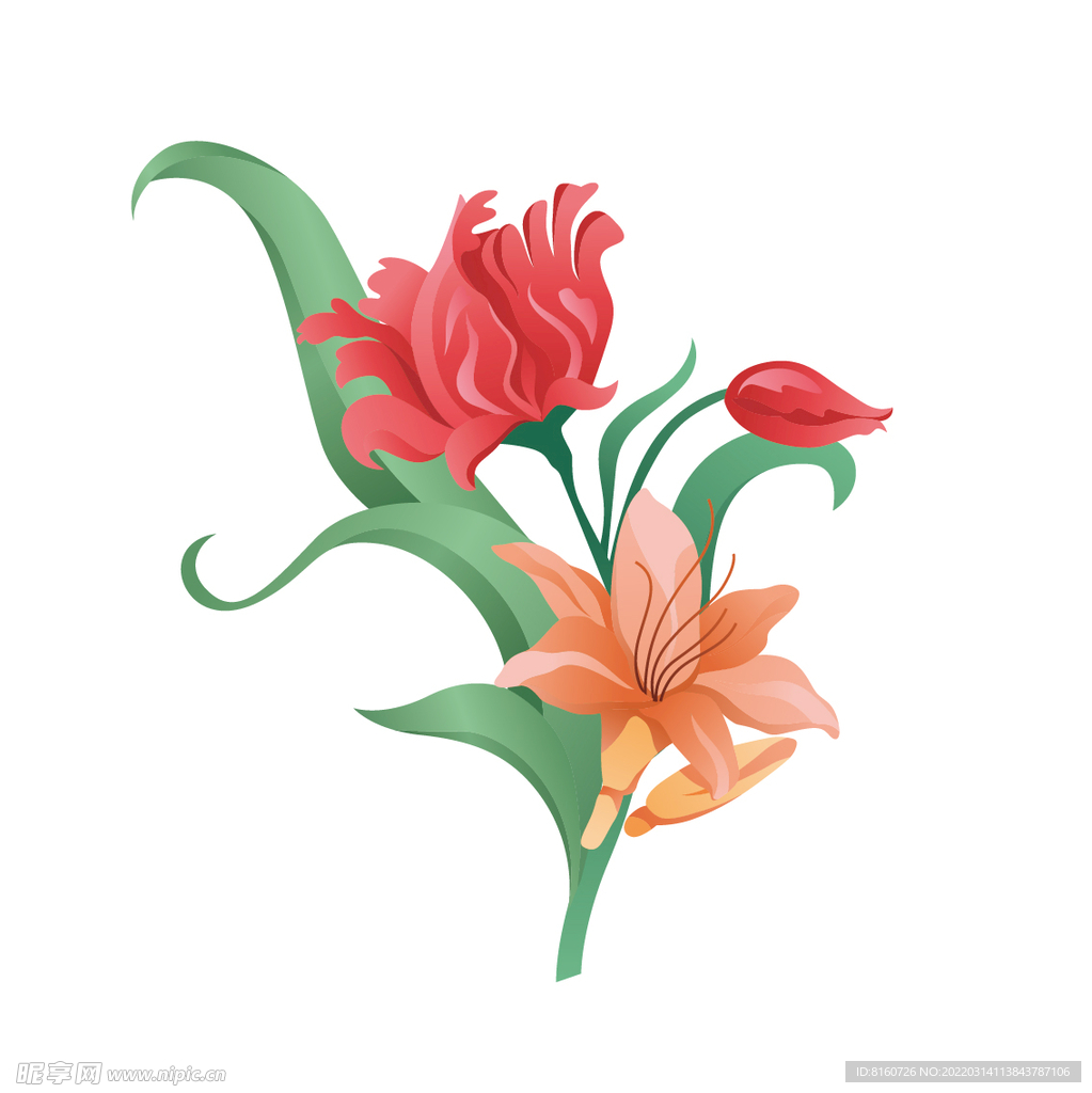 矢量花卉插画四