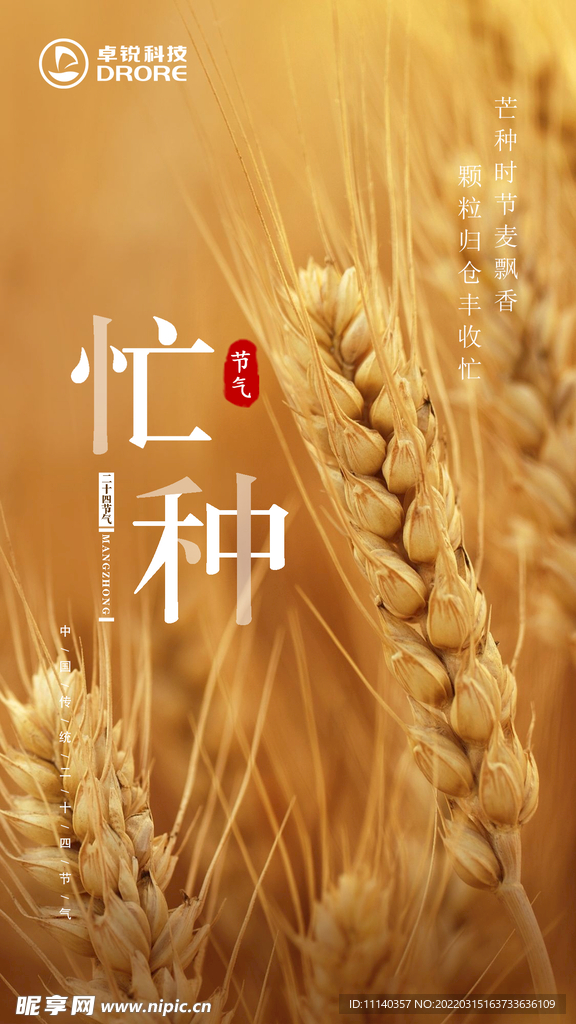 二十四节气 